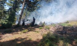 Adana'da orman yangını!
