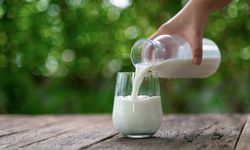 Çiğ süt üreticisine 15 milyar liralık destek ödemesi!