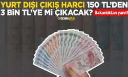 Yurt dışı çıkış harcı 150 TL’den 3 bin TL’ye mi çıkacak? Bakanlıktan yanıt!