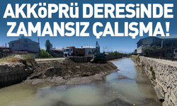 Uzmanlardan Akköprü deresinde çalışma yapan iş makinelerine tepki