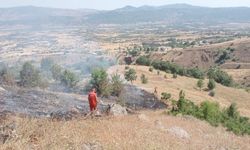 Bingöl'de çıkan yangın ormanlık alana sıçramadan söndürüldü