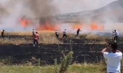 Van'da tarım arazisinde yangın