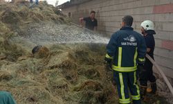 Van’da bin bağ ot yandı