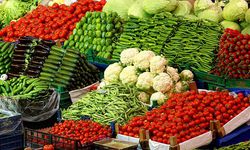 Meyve ve sebze sektöründe ihracat arttı!