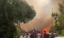 İzmir Foça’da orman yangını