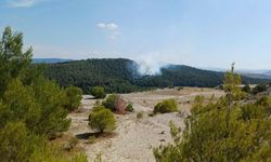 Balıkesir'de iki ilçede orman yangını!