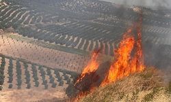 Hatay'da iki ayrı yerde çıkan yangın kontrol altına alındı