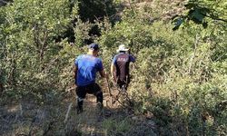 Bitlis’te 4 gündür kayıp olan kız çocuğu sağ bulundu