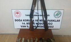 Van'da kaçak Bıldırcın avlayanlara rekor ceza!