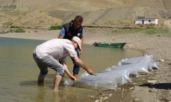 Van’da binlerce balık göllere bırakıldı