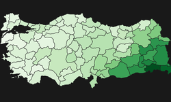 Van'ın şaşırtan göç istatistiği!