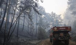 Muğla ve Aydın'daki orman yangınları kontrol altında