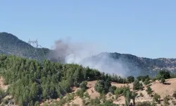 Son dakika: Adana'da yangın söndürme helikopteri düştü!