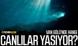 Van Gölü’nde hangi canlılar yaşıyor?