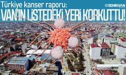 Türkiye kanser raporu: Van’ın listedeki yeri korkuttu!