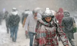 Van'a ne zaman kar yağacak? Meteoroloji uzmanı tarih verdi!