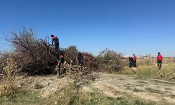 Van’da 12 gündür kayıp olan Rojin’i arama çalışmalarında yeni aşamaya geçildi!