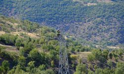 VEDAŞ, Van'da enerji kesintilerini önlemek için yeni hat kuruyor!