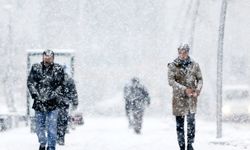 Van'a lapa lapa kar yağacak! Meteoroloji kar yağışı için tarih verdi...