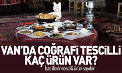 Van'ın kaç coğrafi işaretli ürünü var?