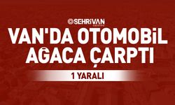 Van'da otomobilin ağaca çarpması sonucu 1 kişi yaralandı