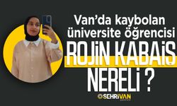 Van'da kaybolan Rojin Kabaiş nereli? İşte detaylar…