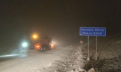 Van’da kar yağışı ulaşımı olumsuz etkiledi: İlçe yolu ulaşıma kapandı!