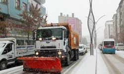 Van Büyükşehir araç sahiplerini uyardı: Bu caddelere aracınızı park etmeyin!