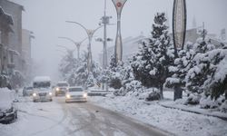 Van'da aracını bu cadde ve sokaklara park edenlere önemli uyarı!