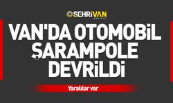 Van'da otomobil şarampole devrildi: Yaralılar var