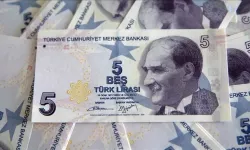 Van’da 5 TL'lik banknota 120 bin TL değer biçildi!