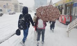 Van’da aniden bastıran kar ve tipi hayatı olumsuz etkiledi