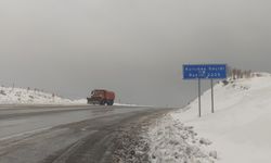 Van, Kurubaş ve Güzeldere geçitlerinde kar yağışı etkili oldu