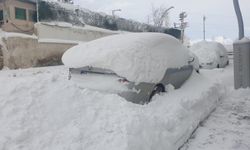 Van’ın iki ilçesi kara gömüldü, yüzlerce yol kapandı