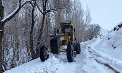 Van'da kapanan yüzlerce yol ulaşıma açıldı!