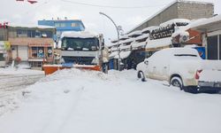 Başkale'de kar yığınları kamyonlarla ilçe dışına taşınıyor