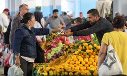 Yeni Hal Yasası geliyor! İşte 9 maddelik yeni hal yasası