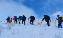 Van'da dağcılar Hayal Dağı'na zirve tırmanışı yaptı