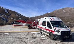 Van'da ambulans helikopter 2 hamile kadın için havalandı