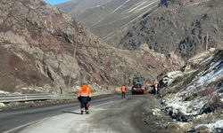 Van-Hakkari arasındaki bu bölge ölüm saçıyor!