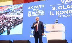 AK Parti Genel Başkan Yardımcısı Vedat Demiröz Van'da konuştu