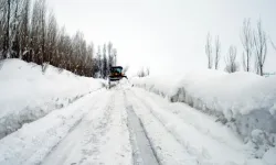 Van’da 493 yerleşim yeri ulaşıma kapandı!