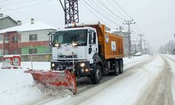 Van’da yollarda tuzlama yapıldı mı? AKOM açıkladı…