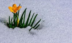 2026 Cemre takvimi belli oldu! İlk Cemre ne zaman düşecek?