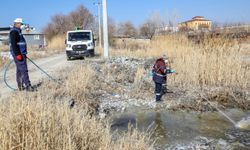 Van’da ekipler birçok noktada ilaçlama yaptı!