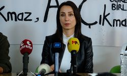 DEM Parti Eş Genel Başkanı Tülay Hatimoğulları’ndan Van'a sürpriz ziyaret!