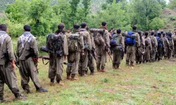 PKK hangi bölgelerde silah bırakacak, silahlar nereye gömülecek? AK Partili isim duyurdu!