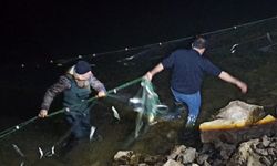 Van Balığının başı dertte: Tam 5 ton 650 kilo ele geçildi!