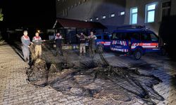 Van’da ele geçirilen 1 ton canlı balık suya bırakıldı
