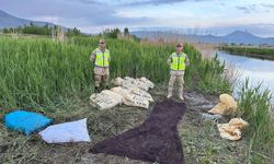 Van'da tonlarca kaçak avlanan inci kefali ele geçirildi!